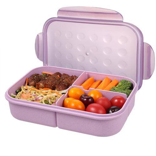 Purple Bento box